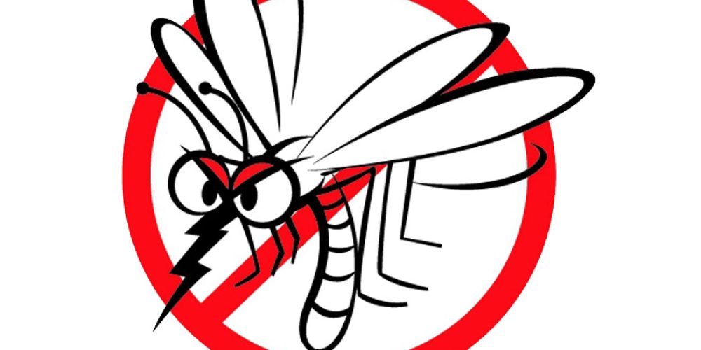 TÁJÉKOZTATÓ FÖLDI SZÚNYOGGYÉRÍTÉSRŐL (2025.08.27, pótnapok:2025.08.28, 29.)