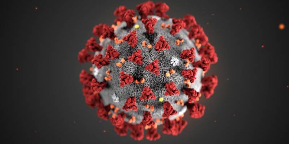 KORONAVÍRUS – TÁJÉKOZTATÓ